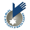 המועצה הישראלית להתנדבות 